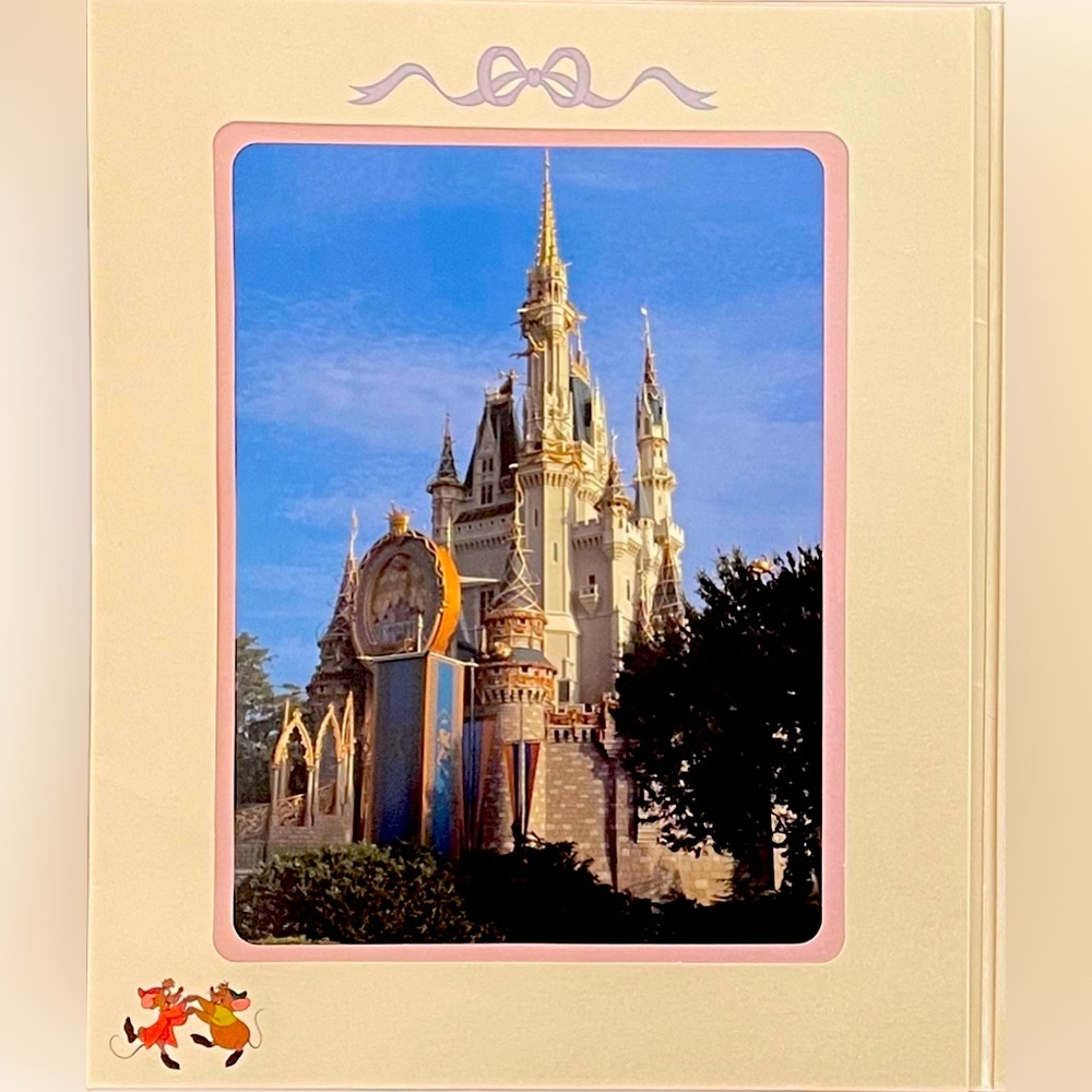 Disney World Photo/Pink Frame - Cinderella’s Castle - Royal Table Souvenir